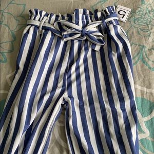 Striped palazzo pants